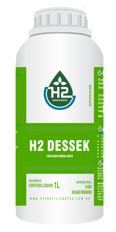 H2 Dessek